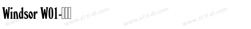 Windsor W01字体转换